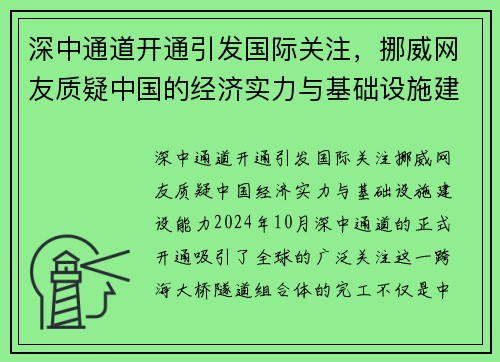 深中通道开通引发国际关注，挪威网友质疑中国的经济实力与基础设施建设能力