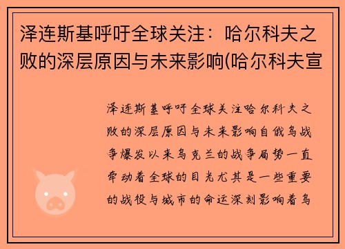 泽连斯基呼吁全球关注：哈尔科夫之败的深层原因与未来影响(哈尔科夫宣布独立)