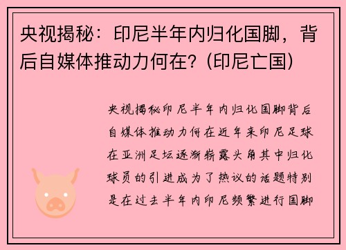 央视揭秘：印尼半年内归化国脚，背后自媒体推动力何在？(印尼亡国)